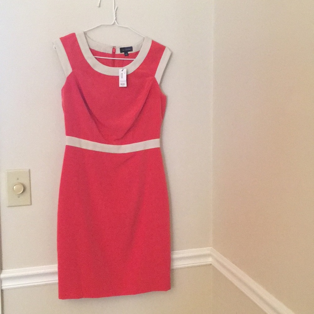 NWT Dress from The Limited